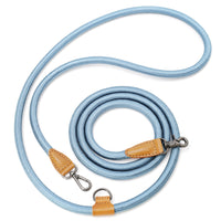 Hands-Free Ray Leash