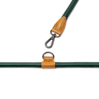 Hands-Free Ray Collar + Leash Set