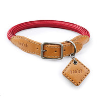 Ray Collar