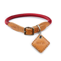 Ray Collar