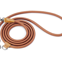 Hands-Free Ray Leash