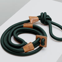 Ray Harness