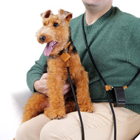 Hands-Free Ray Collar + Leash Set