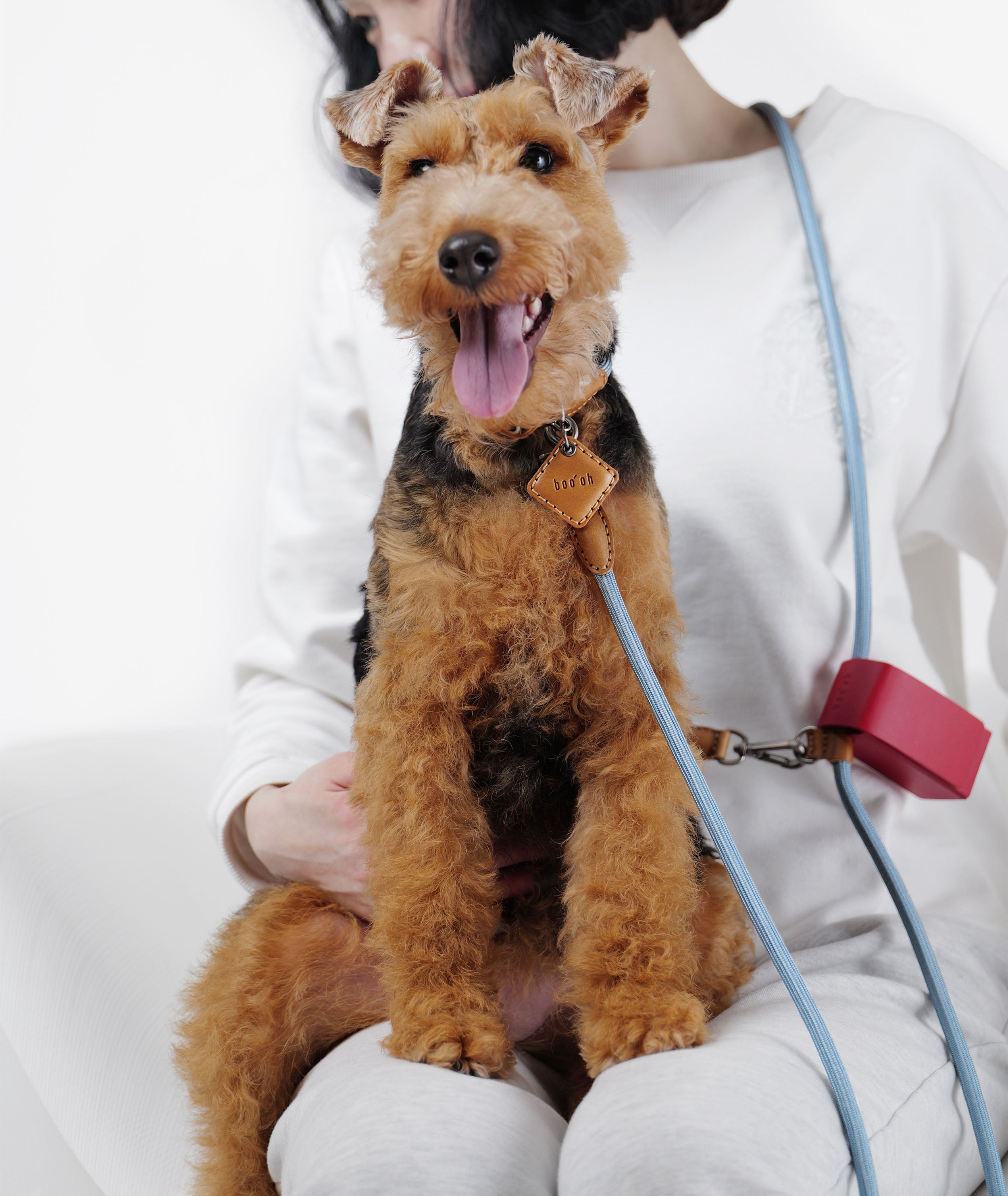 首輪・ハーネス・リード boo'oh ALL IN ONE Hands-Free HARNESS Hands-Free Ray Collar + Leash Set – Boo Oh