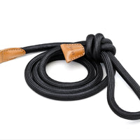 Ray Leash