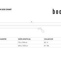 Ray Collar + Leash Set