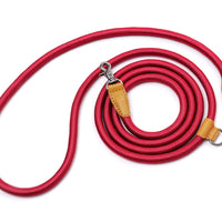 Hands-Free Ray Leash