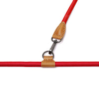 Hands-Free Ray Collar + Leash Set