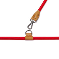 Hands-Free Ray Collar + Leash Set