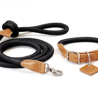 Ray Collar + Leash Set