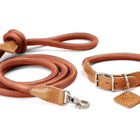 Ray Collar + Leash Set