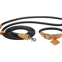 Hands-Free Ray Collar + Leash Set