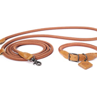Hands-Free Ray Collar + Leash Set