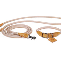 Hands-Free Ray Collar + Leash Set