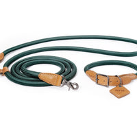 Hands-Free Ray Collar + Leash Set