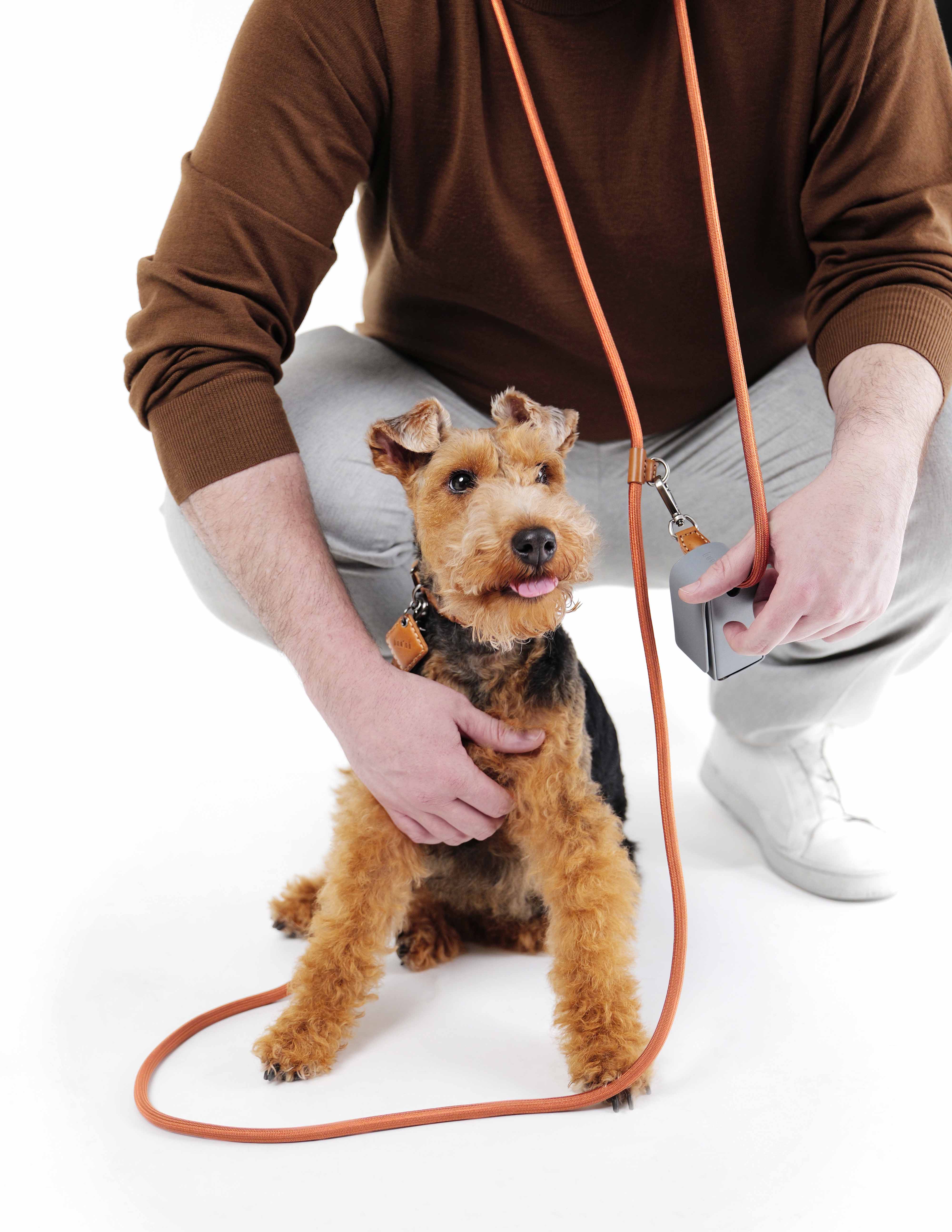 Hands-Free Ray Collar + Leash Set – Boo Oh