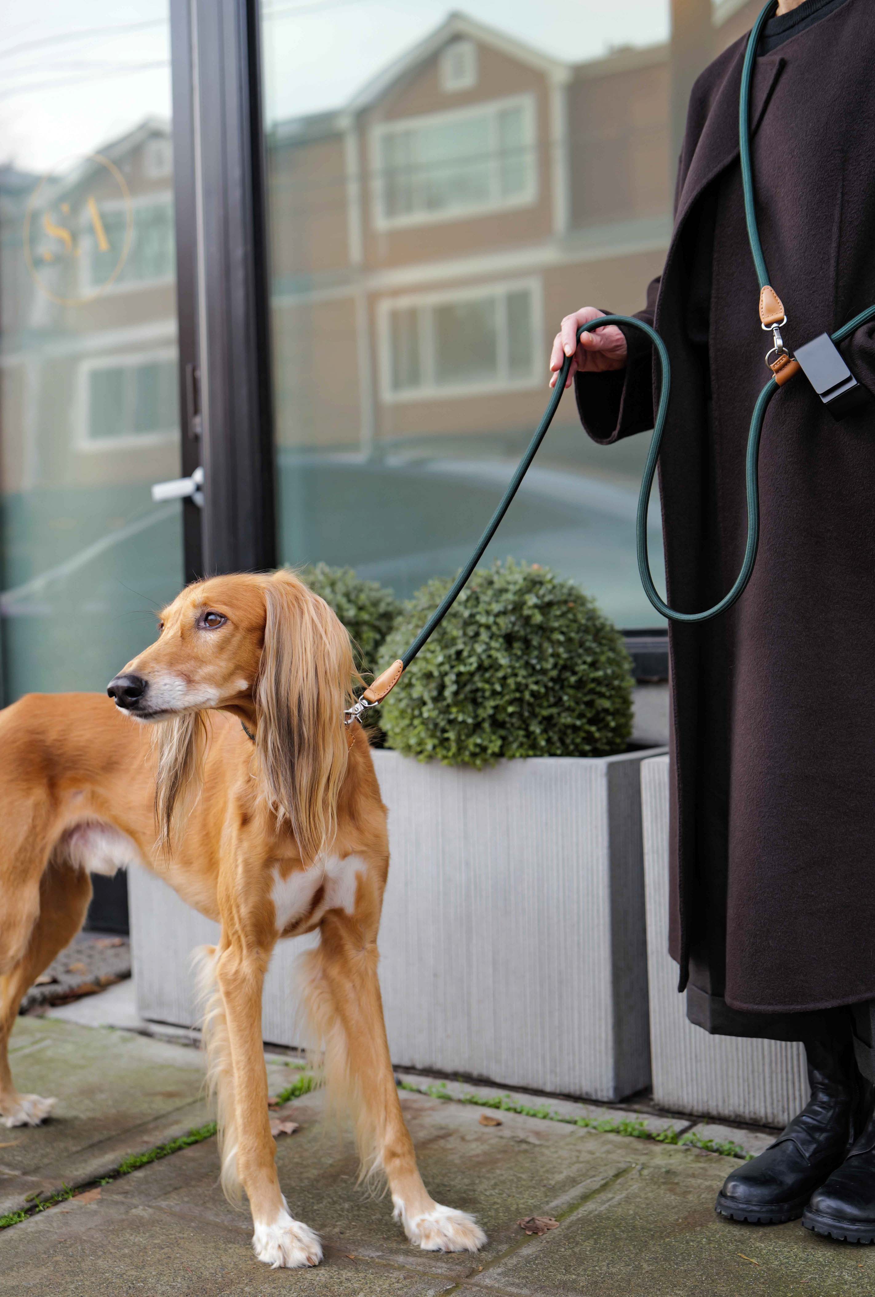 Hands-Free Ray Collar + Leash Set – Boo Oh