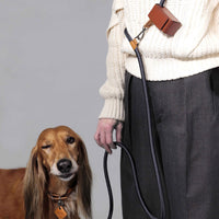 Hands-Free Ray Collar + Leash Set