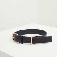 Lumi Leash and Collar Set