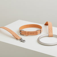 Lumi Collar