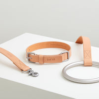 Lumi Leash and Collar Set