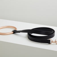 Lumi Leash and Collar Set