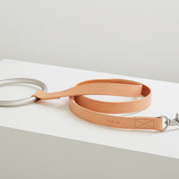Lumi Leash and Collar Set