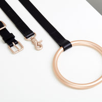 Lumi Leash and Collar Set