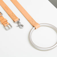 Lumi Leash and Collar Set