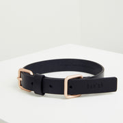 Lumi Collar