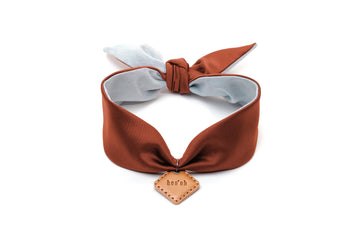 Aura ID Scarf