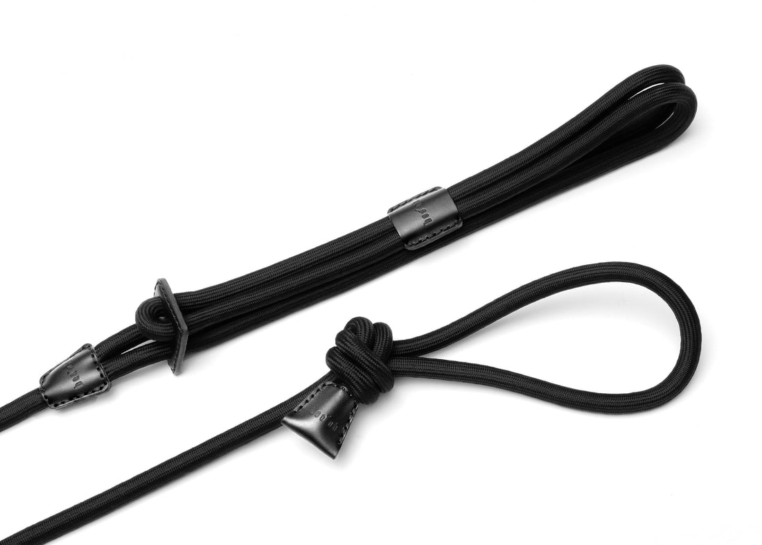 Ray Harness | Black Editon