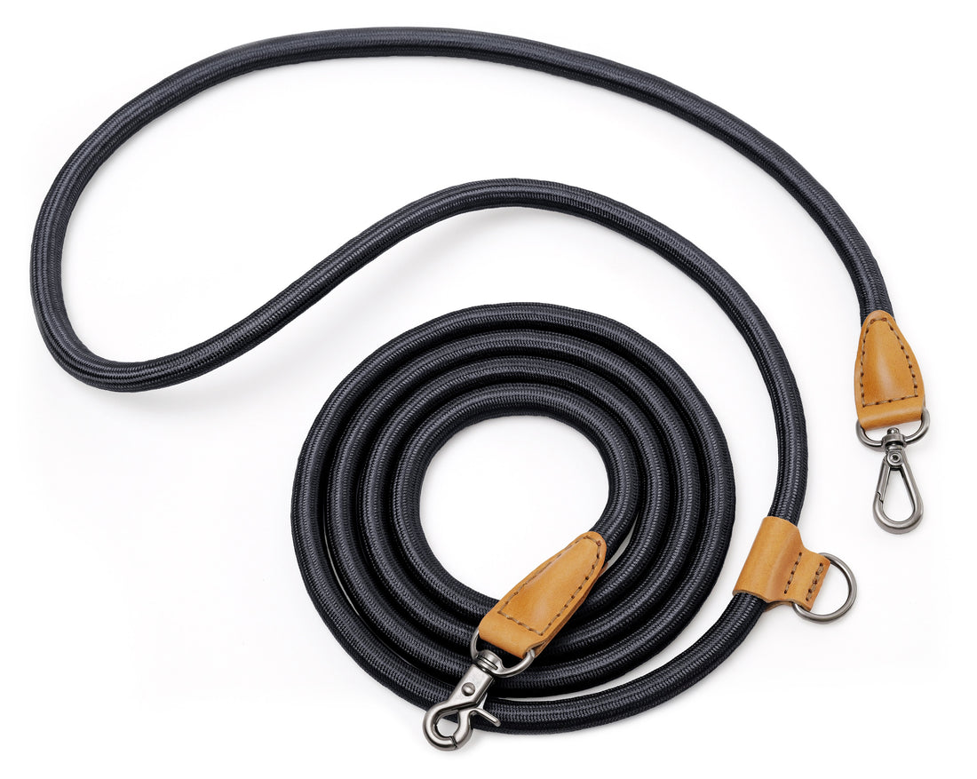 Hands-Free Ray Leash