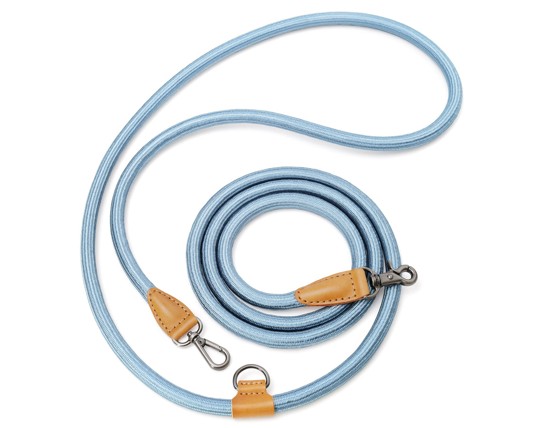 Hands-Free Ray Leash