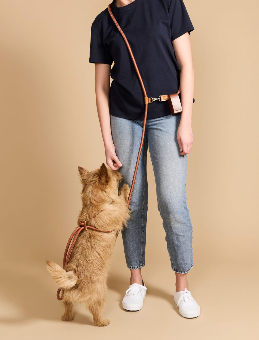 Hands-Free Ray Harness – Boo Oh