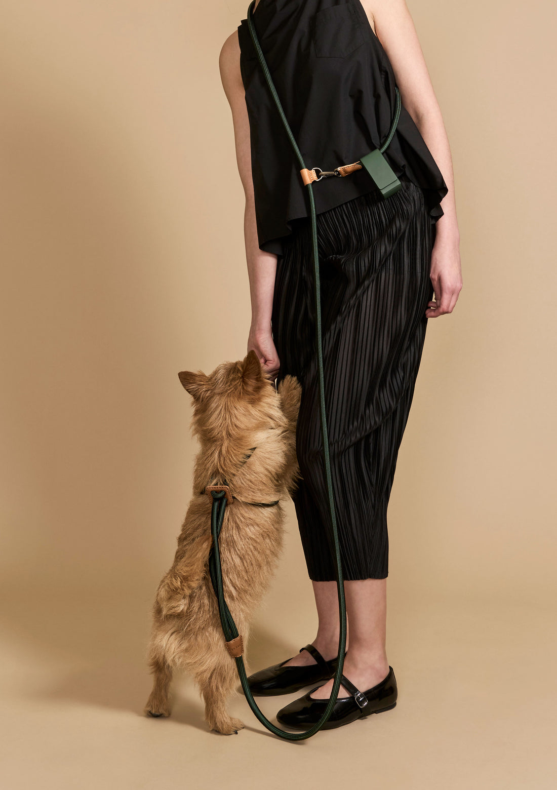 Hands-Free Ray Harness