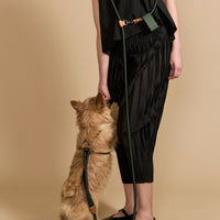 Hands-Free Ray Harness