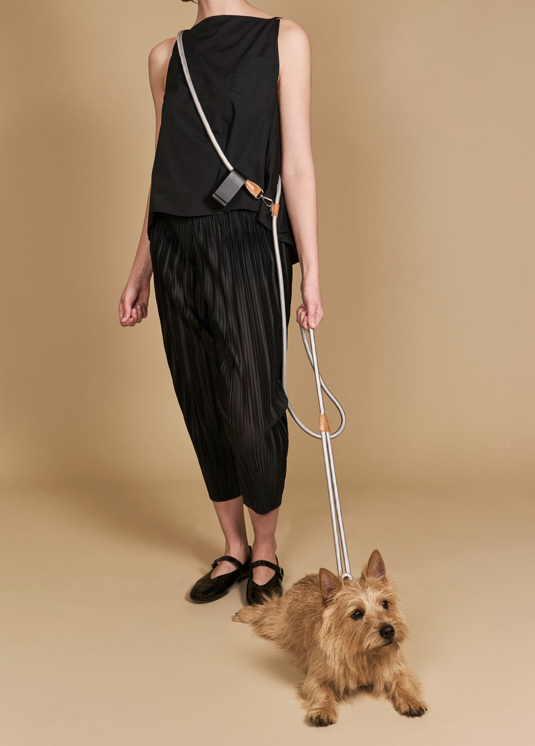 Hands-Free Ray Harness