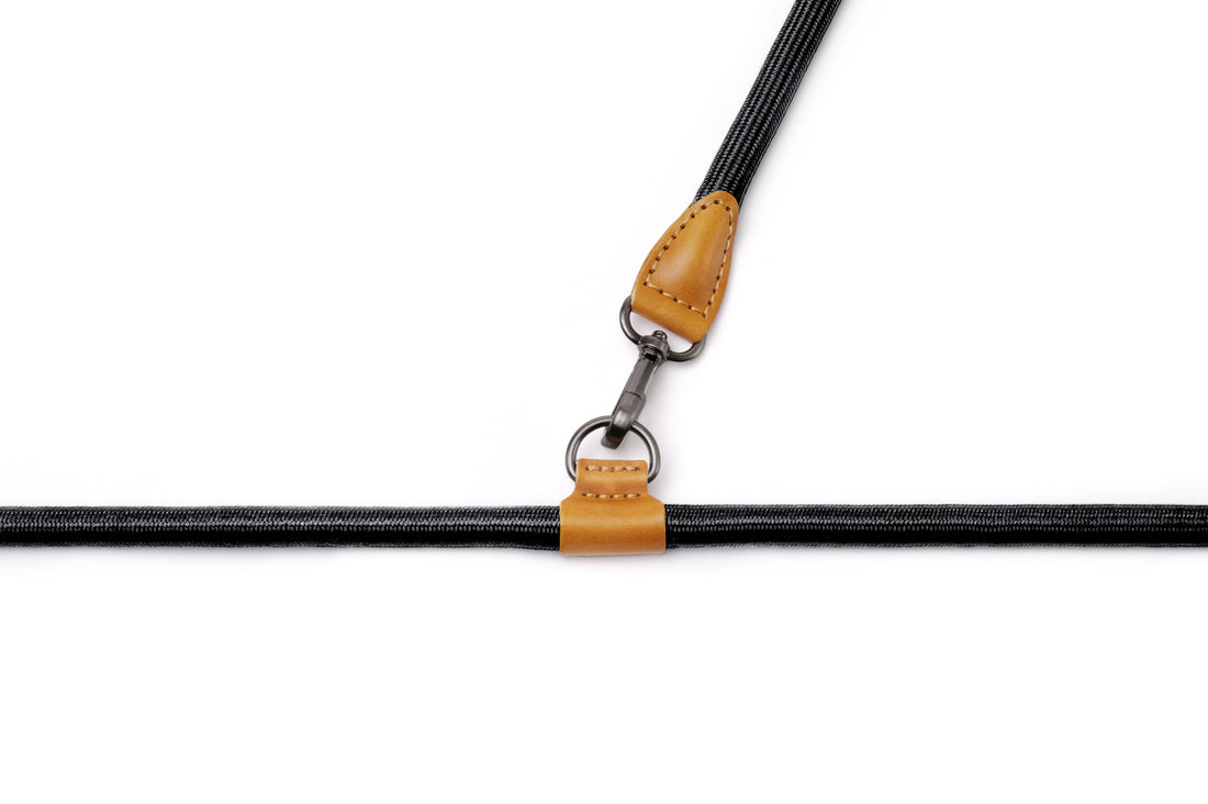 Hands-Free Ray Collar + Leash Set