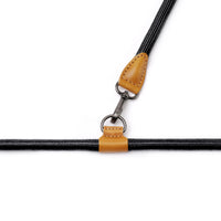 Hands-Free Ray Collar + Leash Set