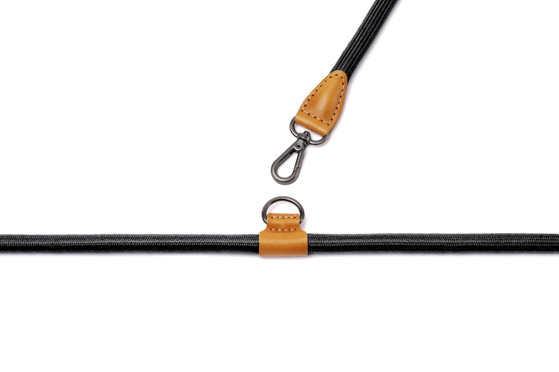 Hands-Free Ray Collar + Leash Set