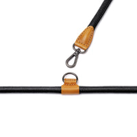 Hands-Free Ray Collar + Leash Set