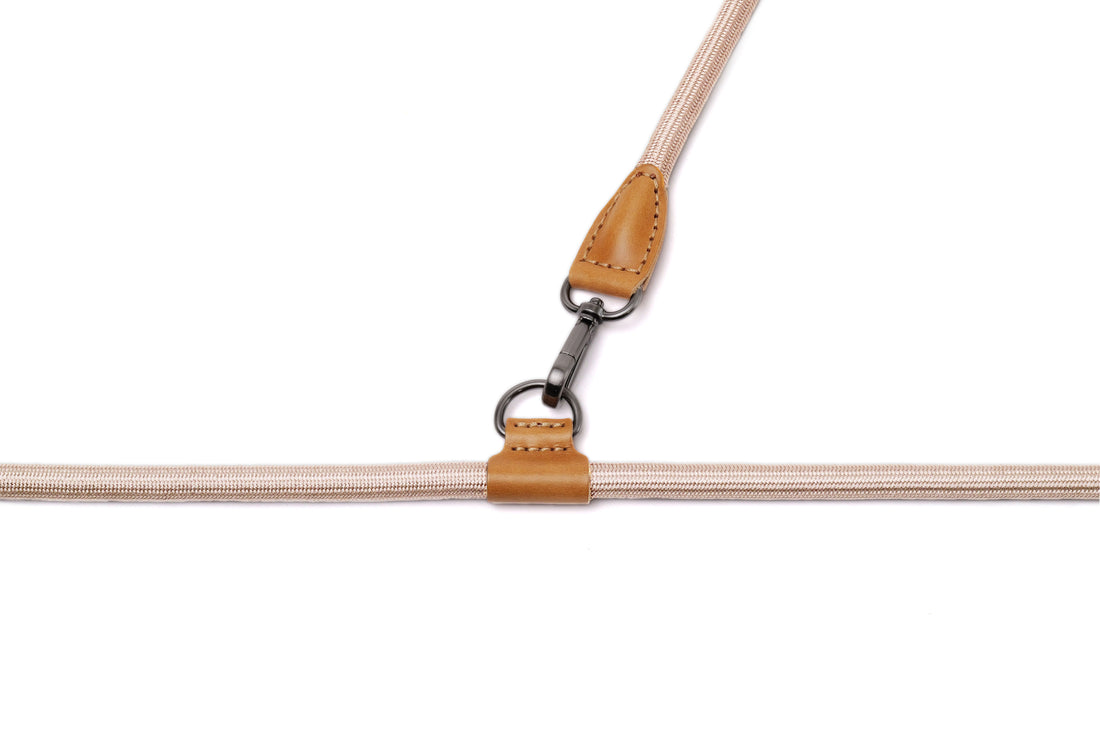 Hands-Free Ray Collar + Leash Set