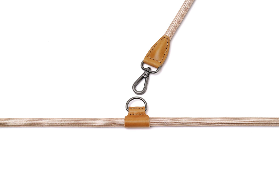 Hands-Free Ray Collar + Leash Set