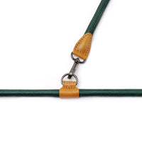 Hands-Free Ray Collar + Leash Set