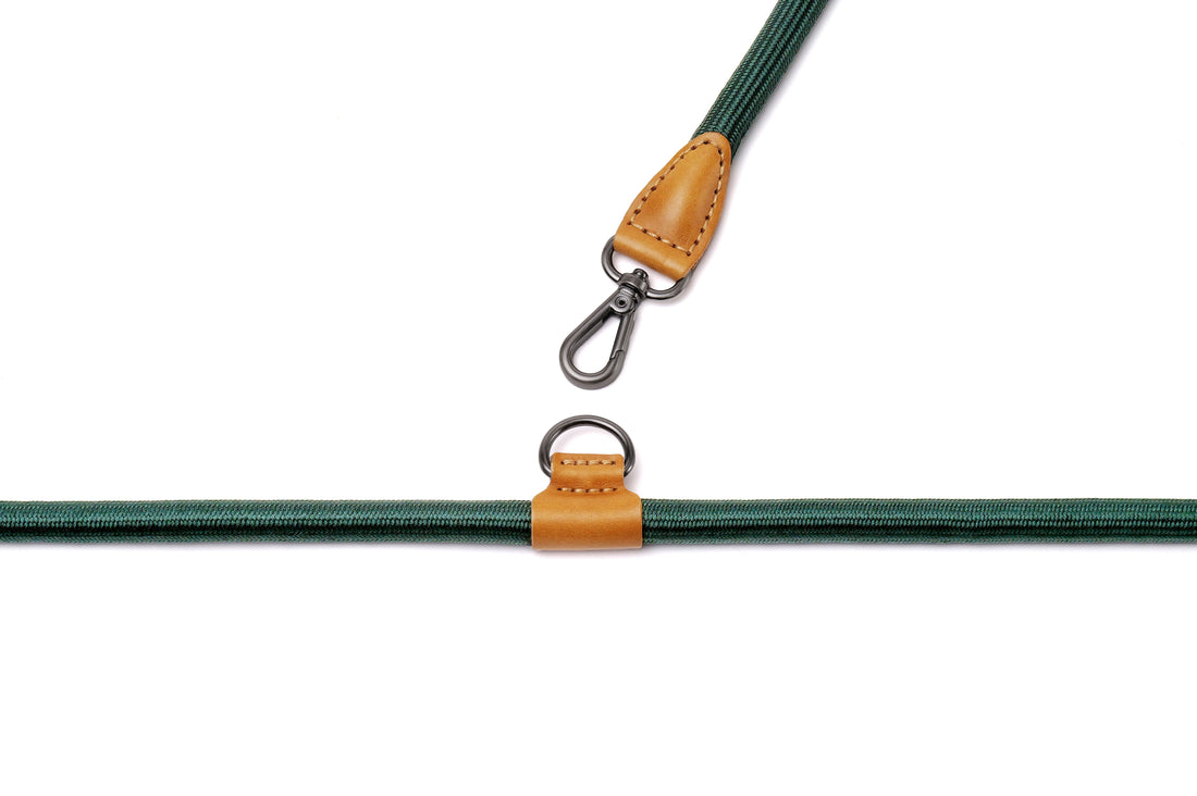 Hands-Free Ray Collar + Leash Set