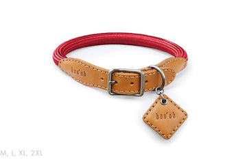 Ray Collar