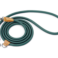 Hands-Free Ray Leash