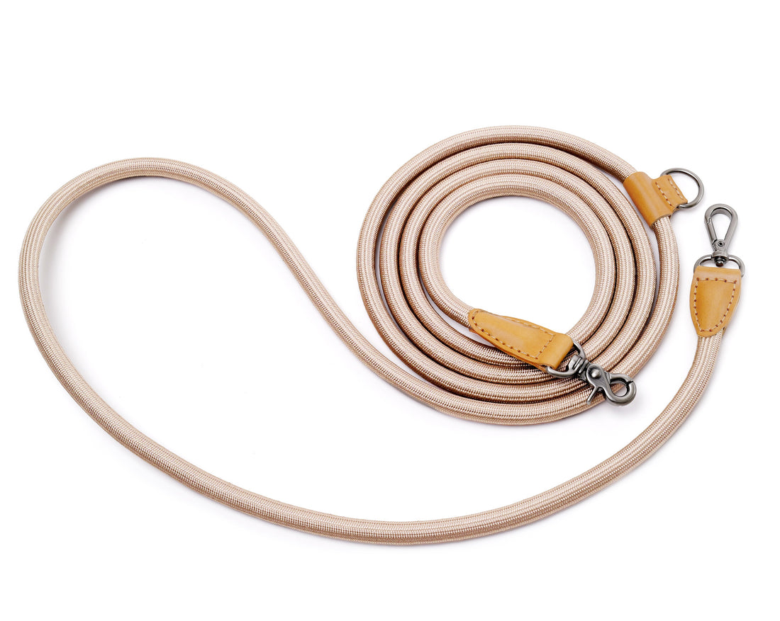 Hands-Free Ray Leash