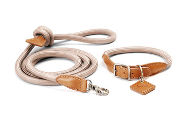 Ray Collar + Leash Set